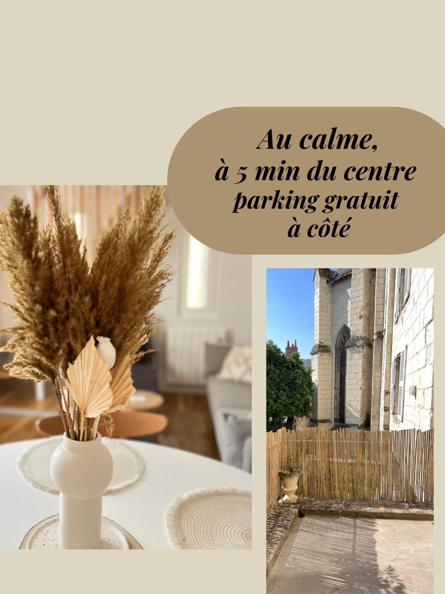 Le Jeanne, Appartement En Duplex Proche Forteresse Et Centre Ville Шинон Экстерьер фото